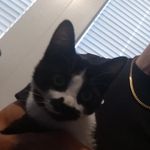 Darren Covington - @darrencvngtn - Instagram