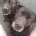 Darren Crouch - @donk107 - Instagram