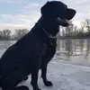 Darren Cunningham - @darren.cunningham3 - TikTok