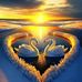 Darren Dailey - Facebook