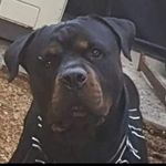 Darren David - @darren.david.33449 - Instagram