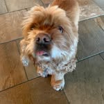 Darren DeBolt - @darrendebolt - Instagram
