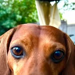 Darren de Boer - @lipsthebest - Instagram