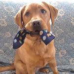 Darrin Decker - @deckerdarrin - Instagram