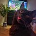Darren De-Jong - Facebook