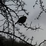 Darren Denham - @darrendenham - Instagram
