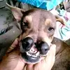 Darren james Denson - @mahirap.lang07 - TikTok