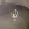 darrendevine8473 - @darrendevine8473 - TikTok
