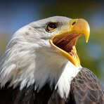 Darren Eagle - Facebook