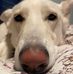 Darren Eckert - Facebook