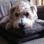 Darren Eddy - @darren.eddy - Instagram