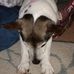 Darren Eddy - Facebook
