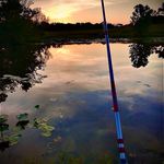 Darren Elder - @durn_eldur - Instagram