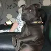 Daren Else - @daren.else - TikTok