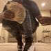 Darrin Embry - Facebook
