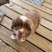 Daren Erb - Facebook