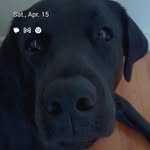 Darren Farish - @darren.farish - Instagram