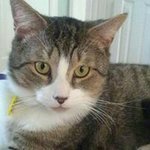 Darren Farthing - @darrenfarthing - Instagram