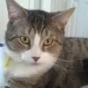 Darren Farthing - @darren.farthing - TikTok