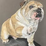 Darren Catterson - @fine_art_by_darren_catterson - Instagram