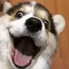 darrenfifine - @darrenfifine - TikTok