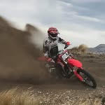 Darren Fleck - @darrenfleck - Instagram