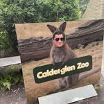 Darren Fleming - @darren_fleming - Instagram