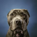 Darren Gabriel - @darren.gabriel.73 - Instagram