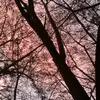 土豆 - @darrengabrielrafael - TikTok
