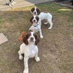 Darren Garner - @darren.garner71 - Instagram