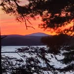 Darren Haggerty - @haggertylandscaping - Instagram