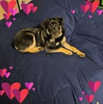 Taryn Halverson - Facebook