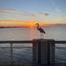 Darin Harless - Facebook