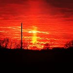 Darren Harmon - @bipedacorn - Instagram