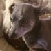 Darren Hatcher - Facebook