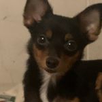 Darren Hatcher - @hatcher_darren - Instagram