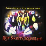 Darren Hatfield - @reefsecretsaquariums - Instagram