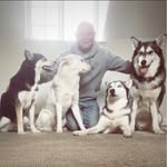 Darren Head - @darrenandthewhuskies - Instagram