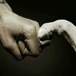Darren Healey - @hilzta - Instagram