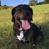 Darren Healey - @darrenhealey - TikTok