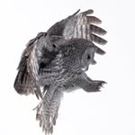 Darren Hebert - @darren_w_hebert - Instagram