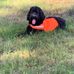Darren Hebert - Facebook