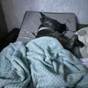 Darren Shelton - @darren.shelton4 - TikTok