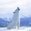 darrenherreramr - @darrenherreramr - TikTok
