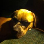 Darren Hinkle - @baddbro - Instagram