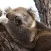 darrenholley12345 - @darrenholley12345 - TikTok