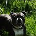 Darren Hookway - Facebook