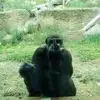 darrenhopper1071 - @darrenhopper1071 - TikTok