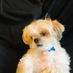 Darren Howell - @darrenhowell217 - Instagram