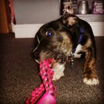 Darren Hurst - @dhurst1984 - Instagram